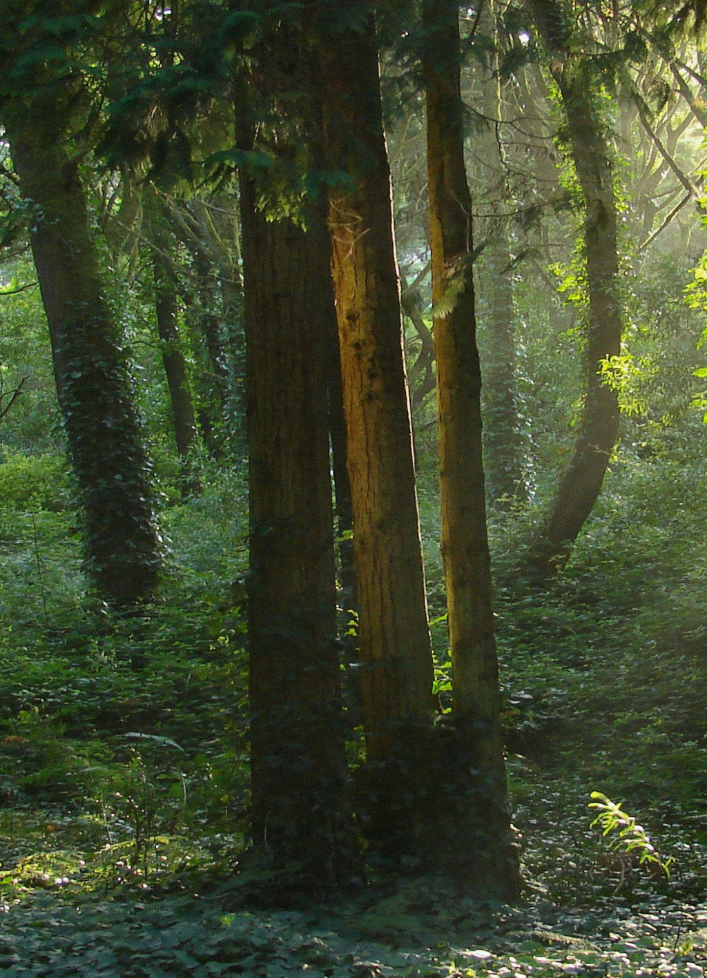 Inšpirácia - ticho a vertikalita